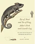 Eye of Newt and Toe of Frog, Adder’s Fork and Lizard’s Leg: The Lore and Mythology of Amphibians and Reptiles