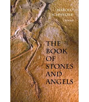 The Book of Stones and Angels