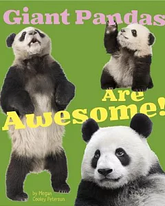Giant Pandas Are Awesome!