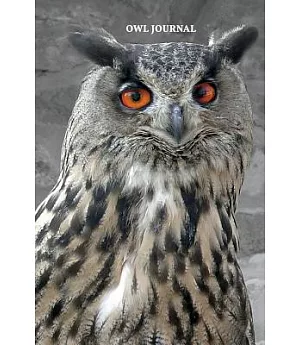 Owl Journal: 100 Page Lined Diary/Notebook