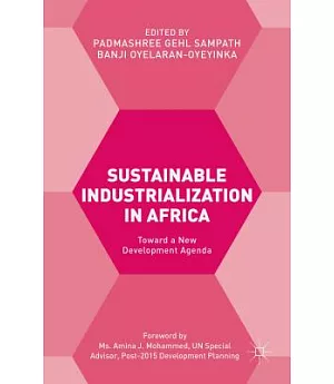 Sustainable Industrialization in Africa: Toward a New Development Agenda