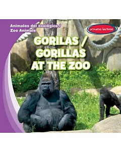 Gorilas / Gorillas at the Zoo