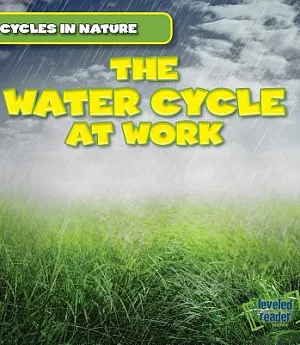 The Water Cycle at Work