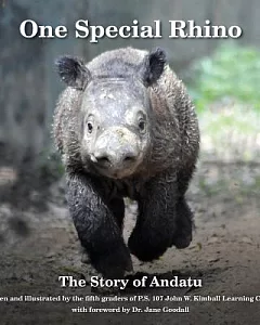 One Special Rhino: The Story of Andatu