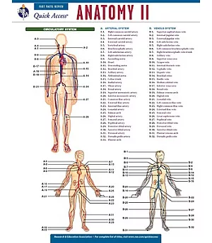 Anatomy II