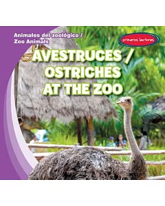 Avestruces / Ostriches at the Zoo