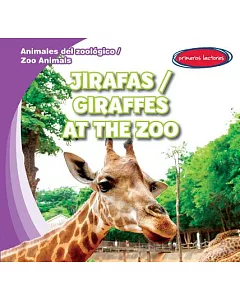 Jirafas / Giraffes at the Zoo