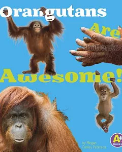 Orangutans Are Awesome!