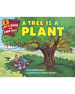 A Tree Is a Plant