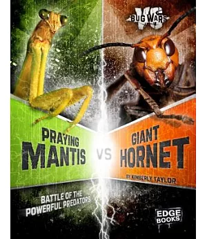 Praying Mantis vs. Giant Hornet: Battle of the Powerful Predators