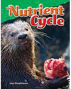 The Nutrient Cycle