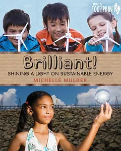 Brilliant!: Shining a Light on Sustainable Energy