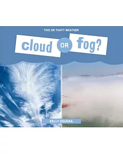 Cloud or Fog?