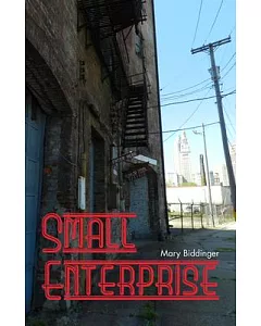 Small EnterPrise