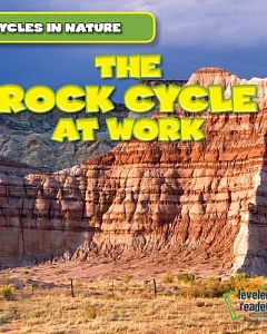 The Rock Cycle at Work