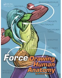 Force DrawIng Human Anatomy