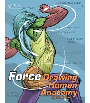 Force Drawing Human Anatomy