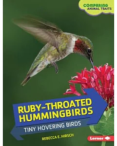 Ruby-throated Hummingbirds: Tiny Hovering Birds