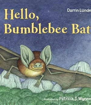 Hello, Bumblebee Bat