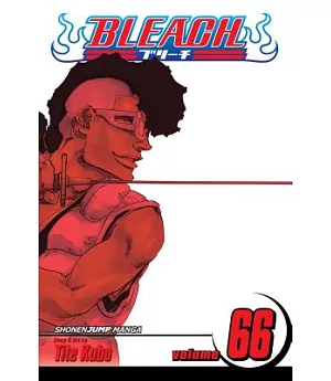 Bleach 66