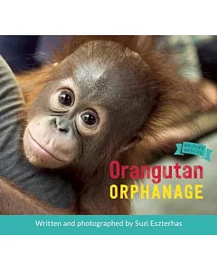 Orangutan Orphanage