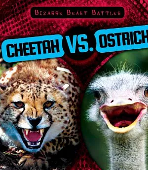 Cheetah VS. Ostrich
