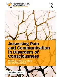 Assessing Pain and Communication in Disorders of Consciousness