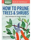 How to Prune Trees & Shrubs: Easy Techniques for Timely Trimming