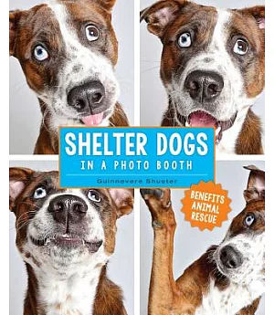 Shelter Dogs in a Photo Booth