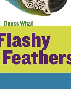 Flashy Feathers