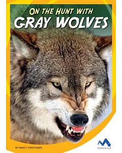 On the Hunt With Gray Wolves