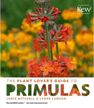 The Plant Lover’s Guide to Primulas