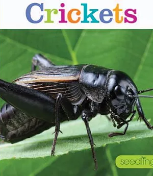 Crickets: Seedlings