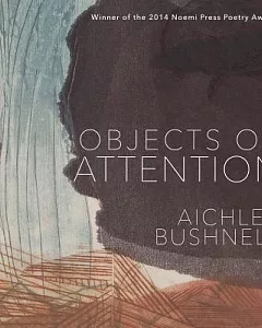 Objects of Attention