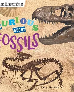 Curious About Fossils