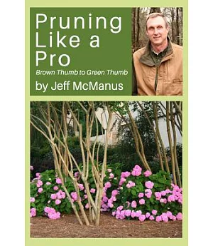 Pruning Like a Pro