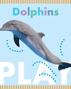 Dolphins Play