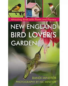 New England Bird Lover’s Garden: Attracting Birds With Plants and Flowers