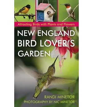 New England Bird Lover’s Garden: Attracting Birds With Plants and Flowers
