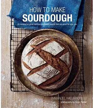 How to Make Sourdough: 45 Recipes for Great-Tasting Sourdough Breads That Are Good for You, Too
