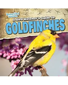 A Bird Watcher’s Guide to Goldfinches