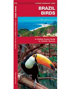 Brazil Birds: A Folding Pocket Guide to Familiar Species