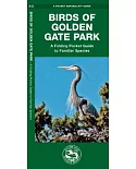 Birds of Golden Gate Park: A Folding Pocket Guide to Familiar Species
