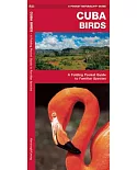 Cuba Birds: A Folding Pocket Guide to Familiar Species