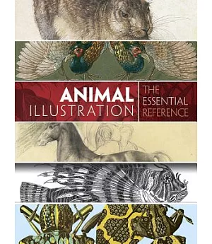 Animal Illustration: The Essential Reference