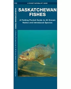 Saskatchewan Fishes: A Folding Pocket Guide to All Known Native and Introduced Species