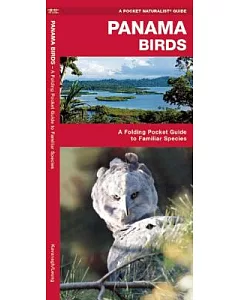 Panama Birds: A Folding Pocket Guide to Familiar Species