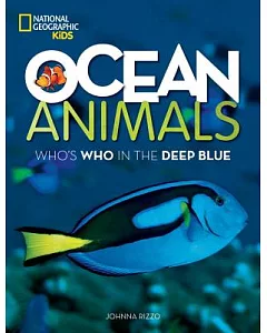 Ocean Animals: Who’s Who in the Deep Blue