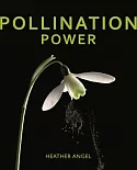 Pollination Power