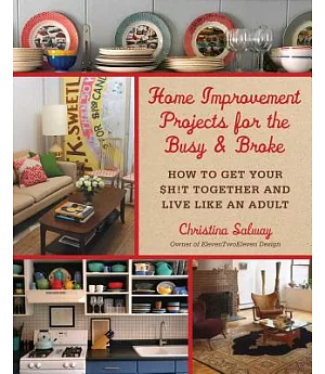 Home Improvement Projects for the Busy & Broke: How to Get Your !t Together and Live Like an Adult